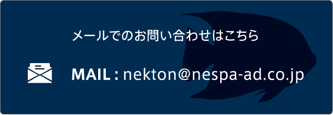 メールでのお問い合わせはこちら MAIL：nekton@nespa-ad.co.jp
