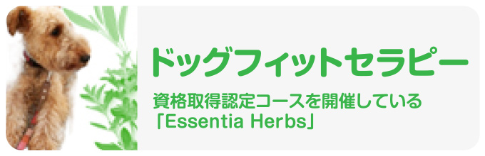 ドッグフィトセラピー 資格取得認定コースを開催している「Essentia Herbs」