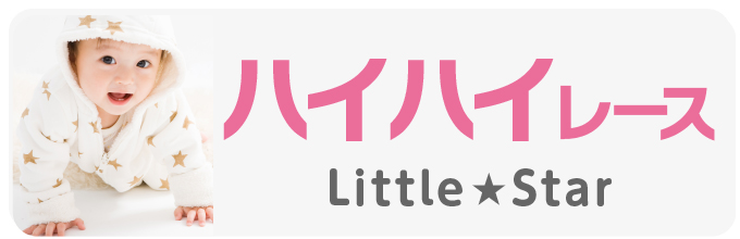 ハイハイレース